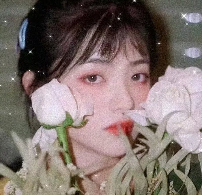 走进炮火中